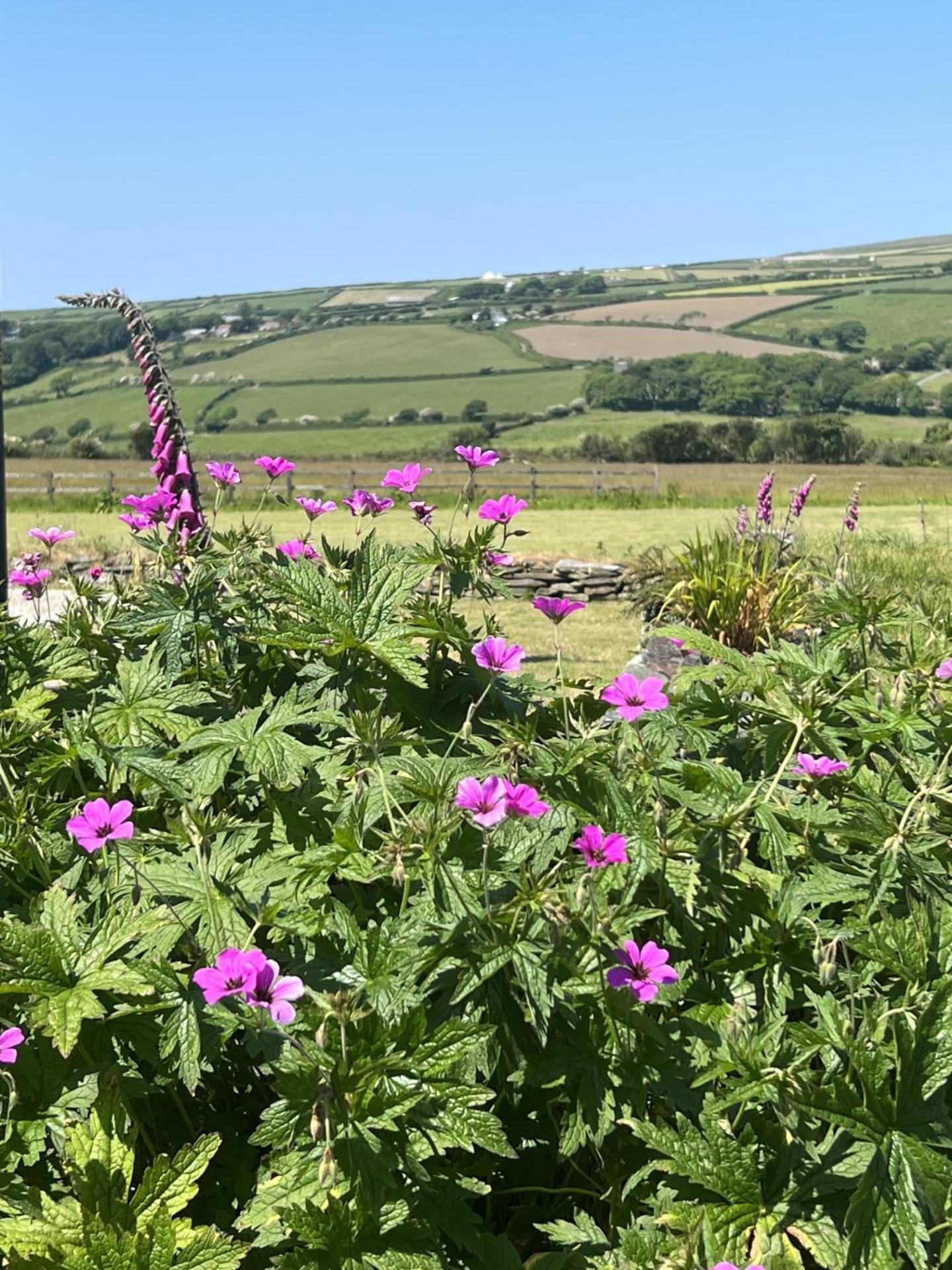 Courtyard Farm Cottages Boscastle Buitenkant foto