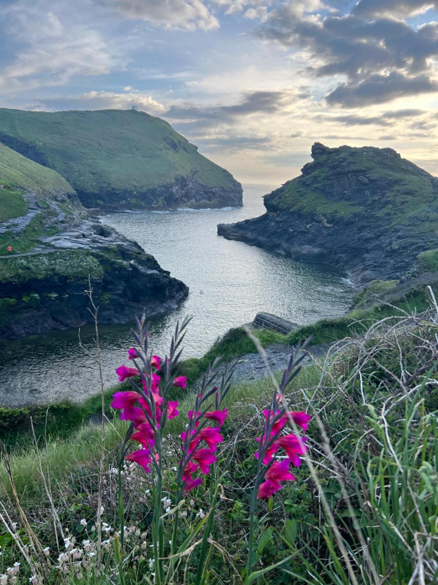 Courtyard Farm Cottages Boscastle Buitenkant foto