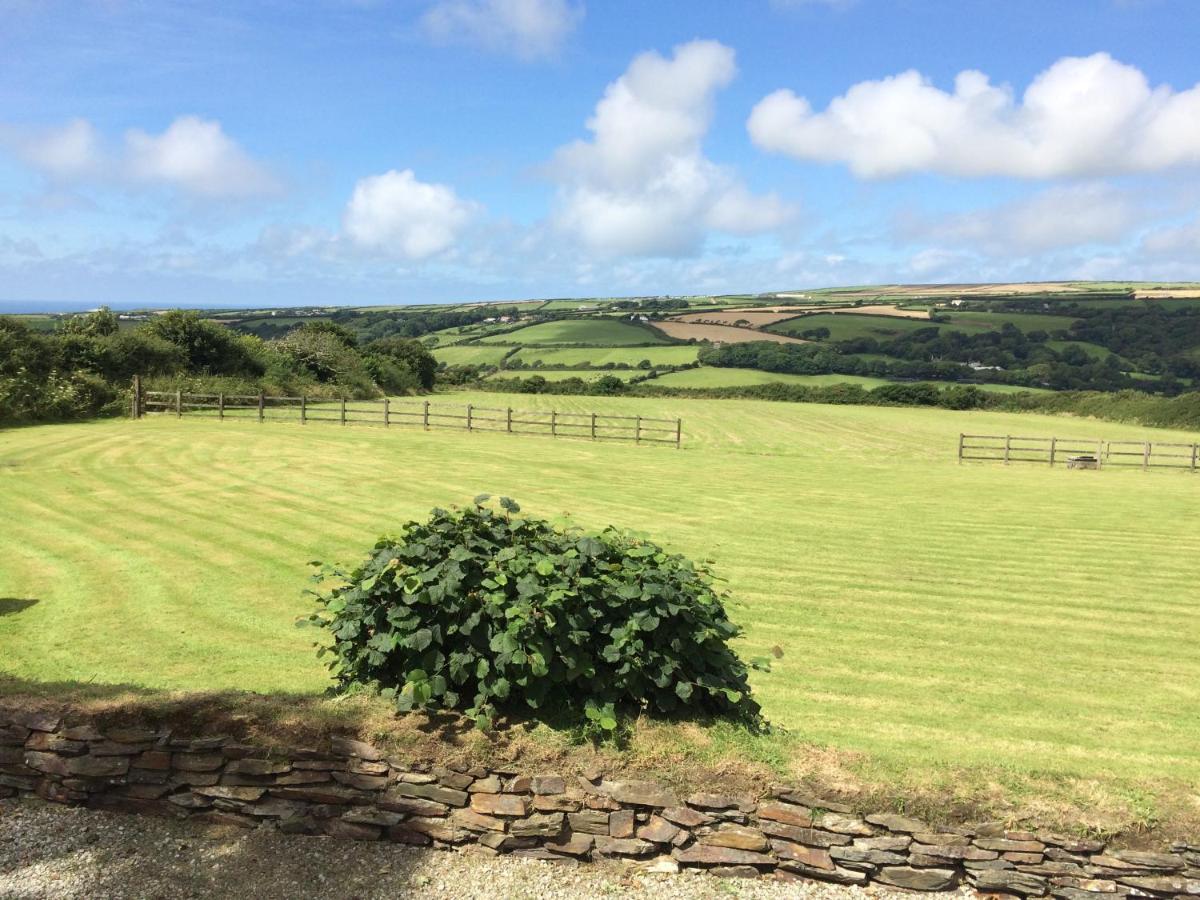 Courtyard Farm Cottages Boscastle Buitenkant foto