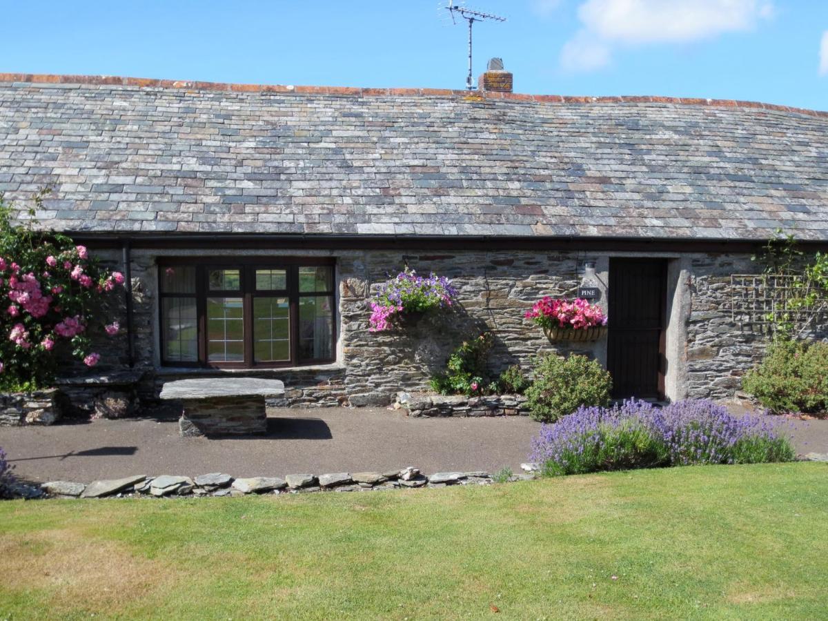Courtyard Farm Cottages Boscastle Buitenkant foto